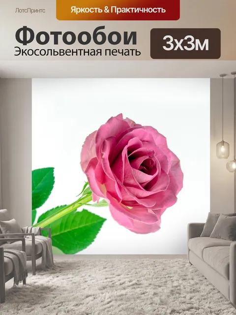 Фотообои цветок