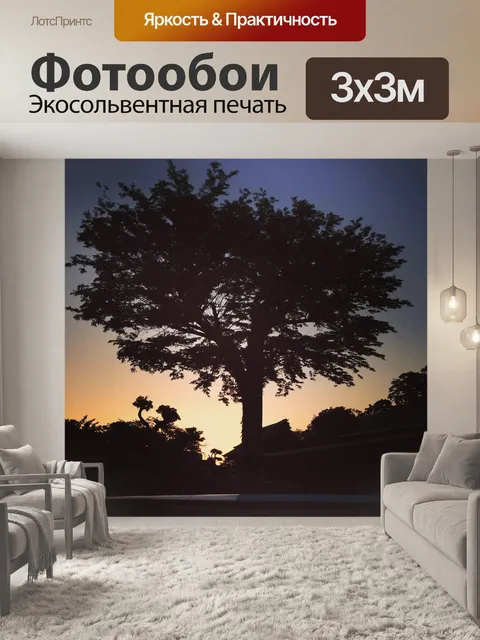 Фотообои Закат