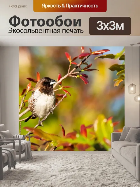 Фотообои Бронзового человечка