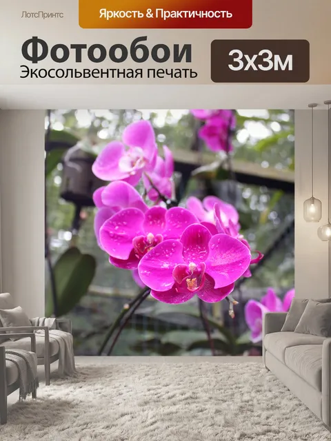 Фотообои красного цветка орхидеи в Сингапуре