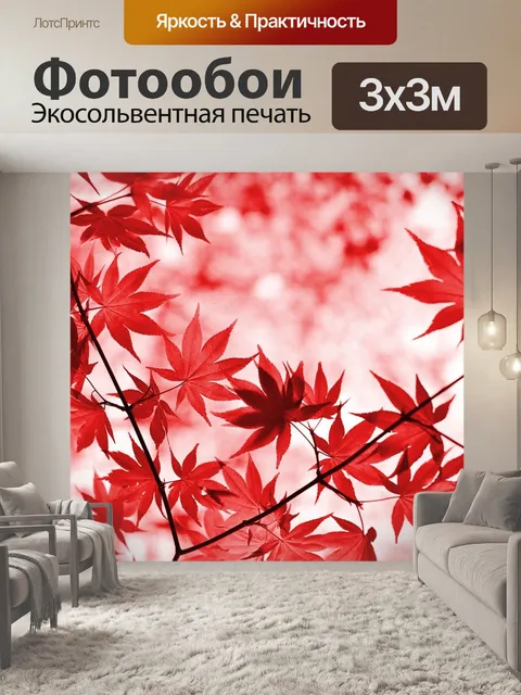 Фотообои Клен