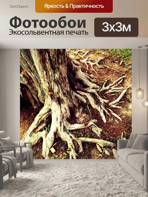Фотообои Cedar Корни