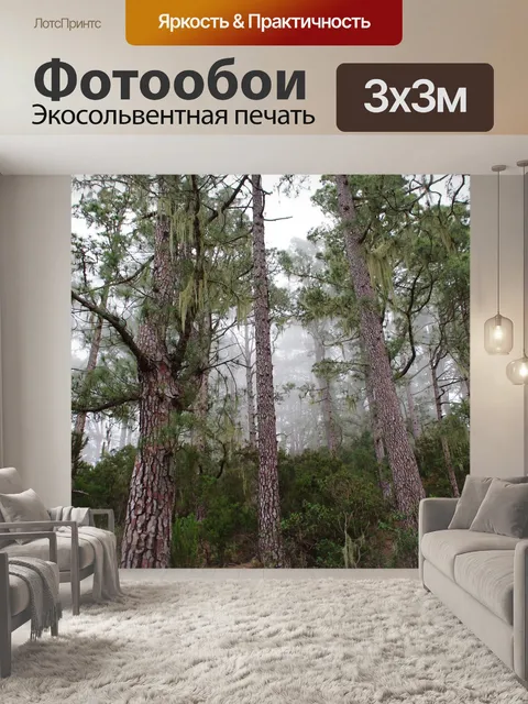 Фотообои Облачный лес