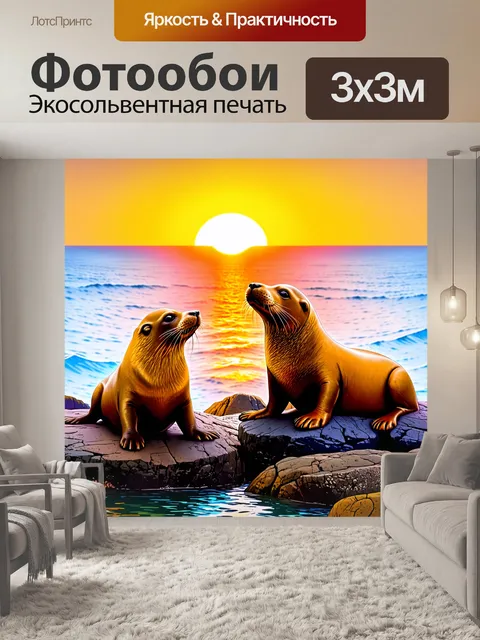 Фотообои пара смешных морских котиков, отдыхающих на камнях и наслаждающихся закатом в море