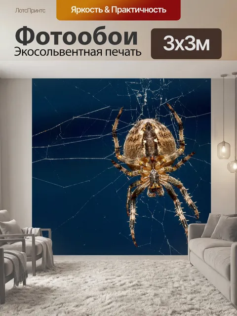 Фотообои Паук