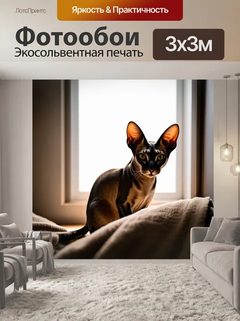 Фотообои ориентальная короткошерстная кошка рассматривает мир за окном из уютного уголка, где лежат мягкиеblankets