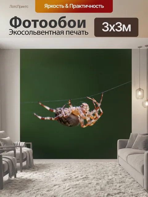 Фотообои Насекомое