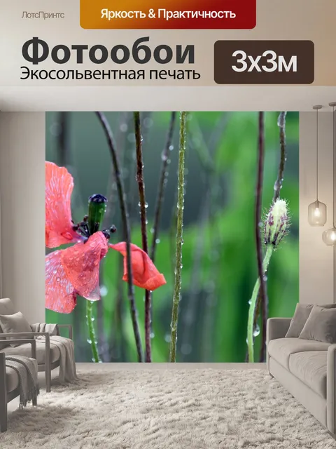 Фотообои Мак