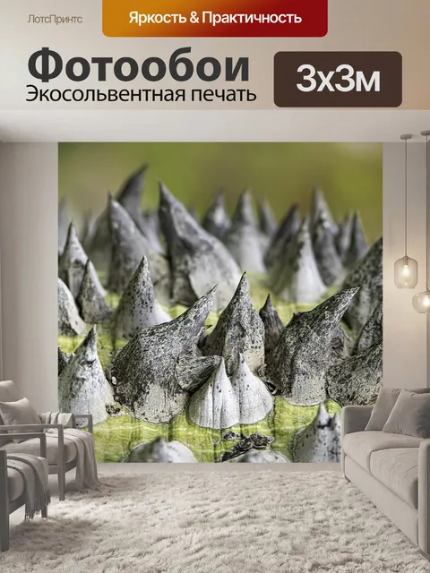 Фотообои Лаять