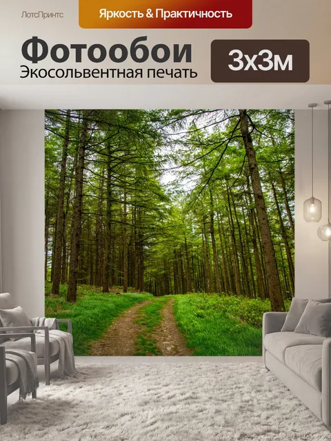 Фотообои Лесной путь