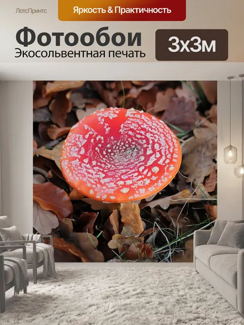 Фотообои Лес