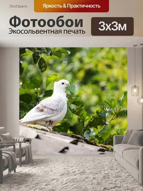 Фотообои Крыша
