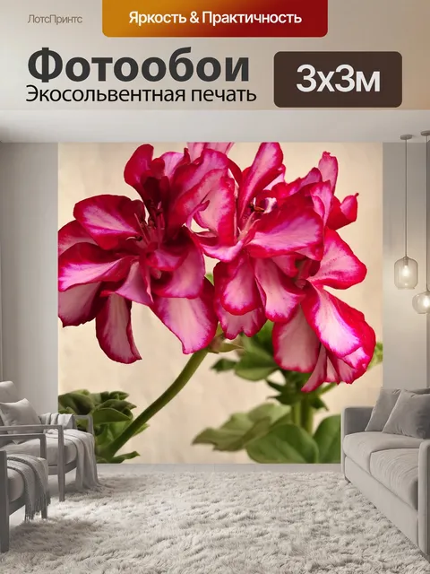 Фотообои Цветок