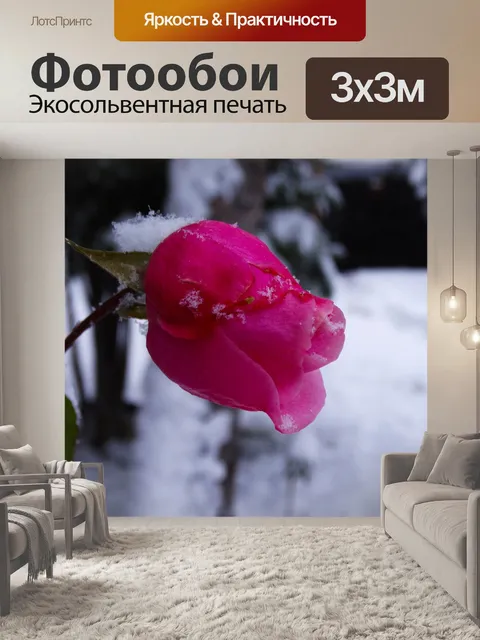 Фотообои Зима