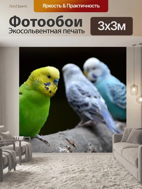 Фотообои Птица
