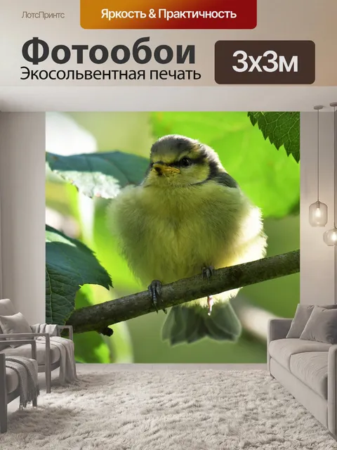 Фотообои Кусты