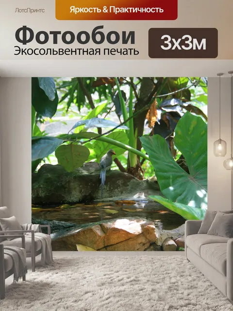 Фотообои пруд с уха листьев слона