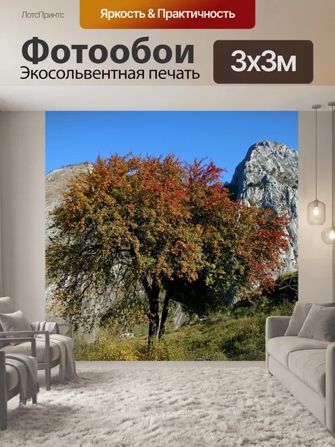 Фотообои Дерево