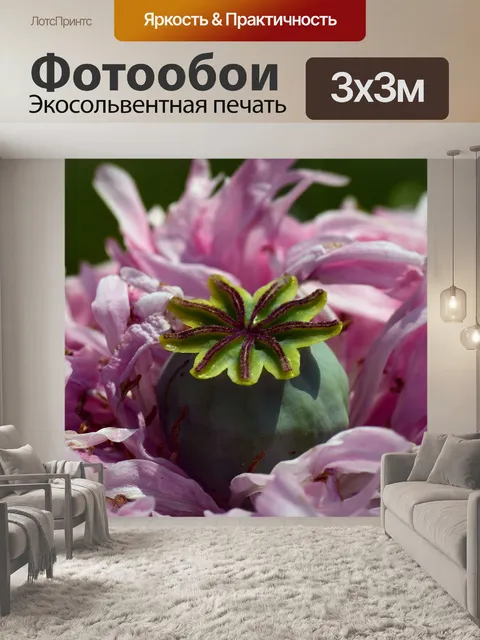 Фотообои Мак