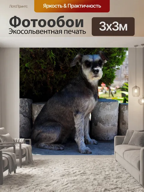 Фотообои Талисман