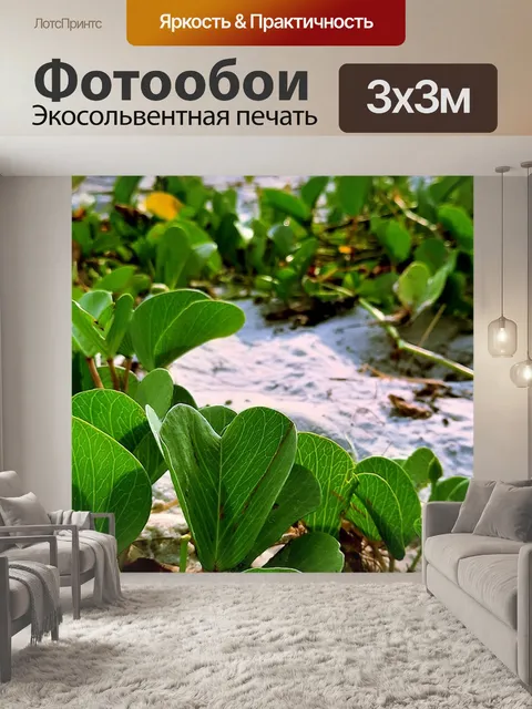 Фотообои Пляж