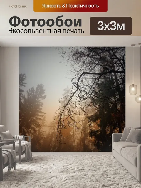 Фотообои Лес