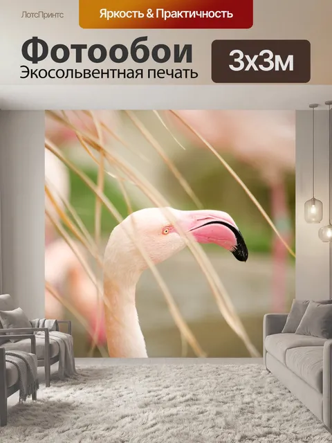 Фотообои Фламинго
