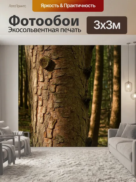 Фотообои бежевые корки дерева