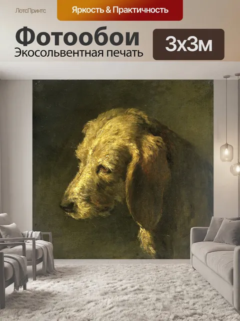 Фотообои собака