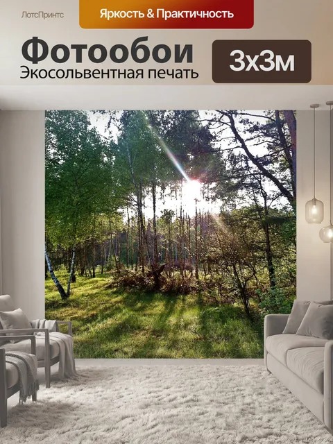 Фотообои Солнце