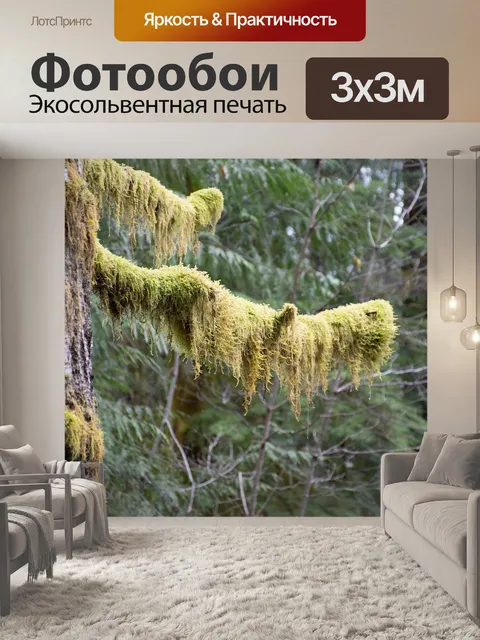 Фотообои Лес