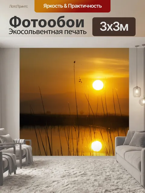 Фотообои Заболоченные места закат