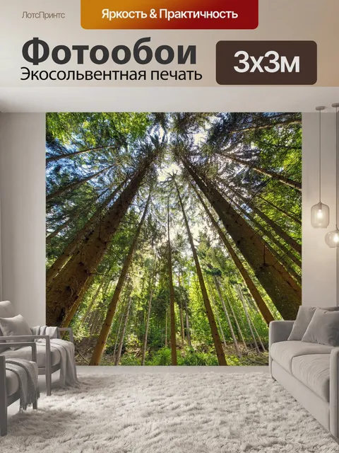 Фотообои Лес