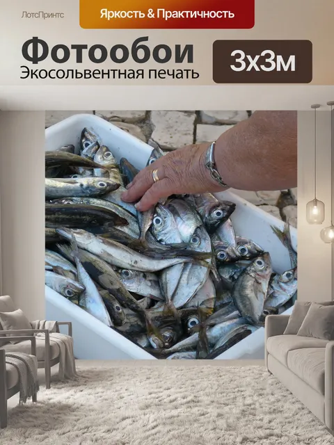 Фотообои Рыбы