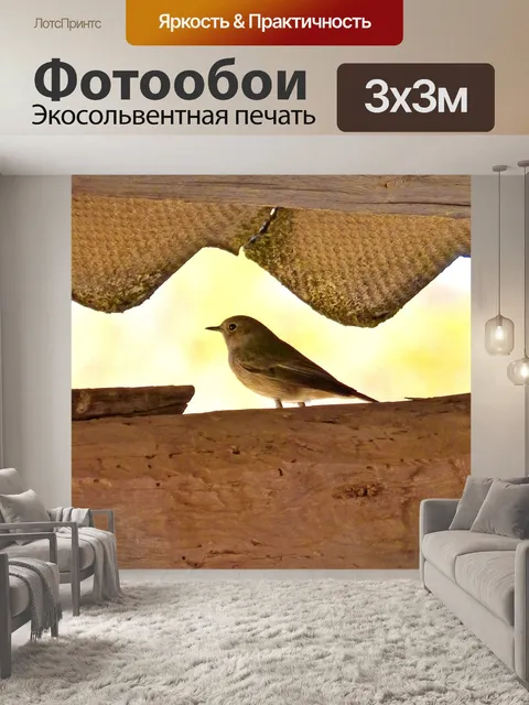 Фотообои Птица