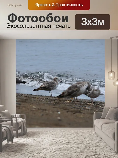 Фотообои Животное
