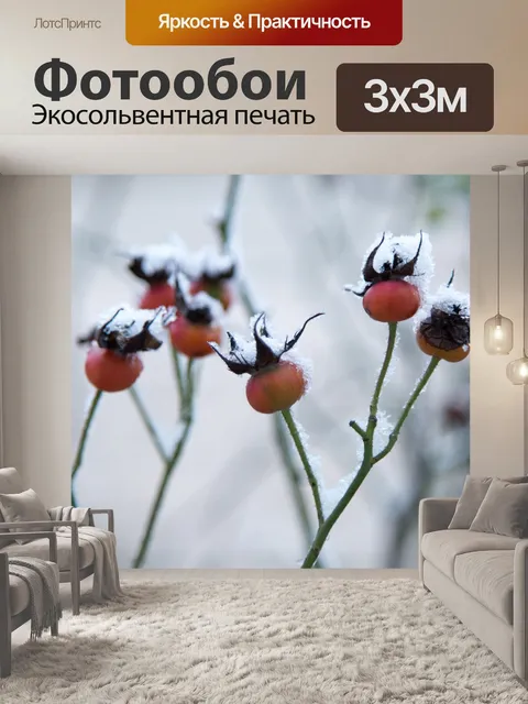 Фотообои Шиповник Зимой