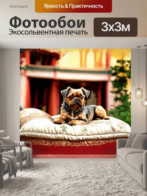 Фотообои карликовый гриффон брабантский преданно лежит на подушке