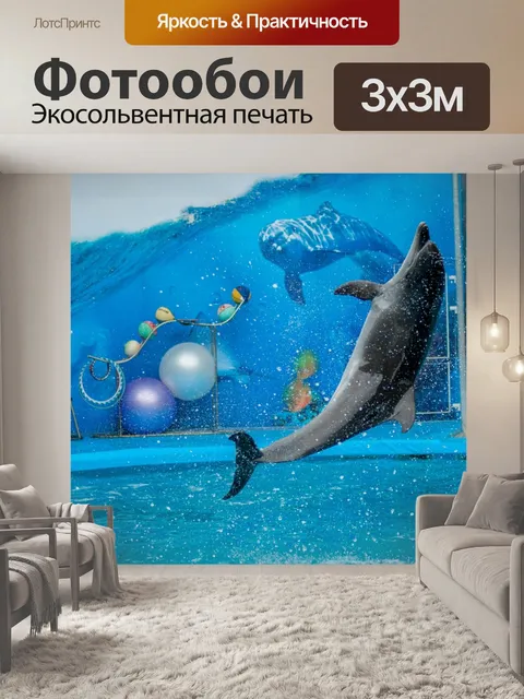 Фотообои Дельфин