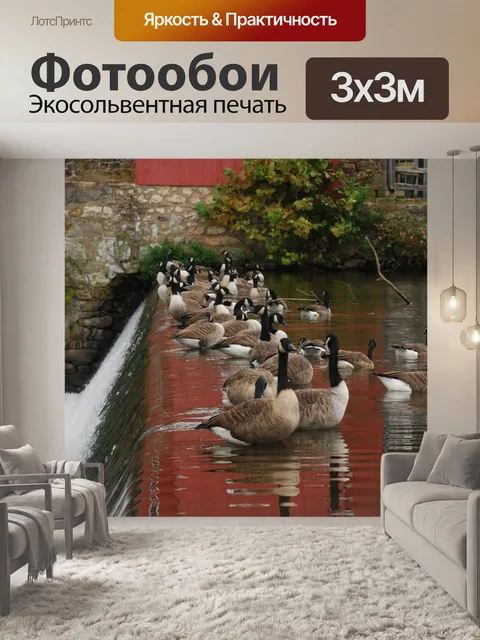 Фотообои Канадские гуси 2