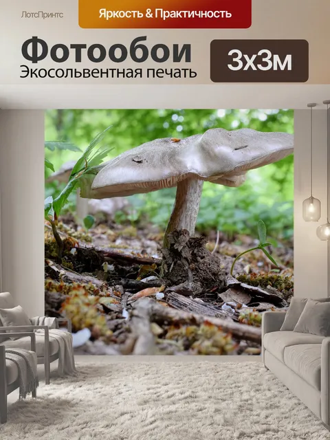 Фотообои Лесные грибы