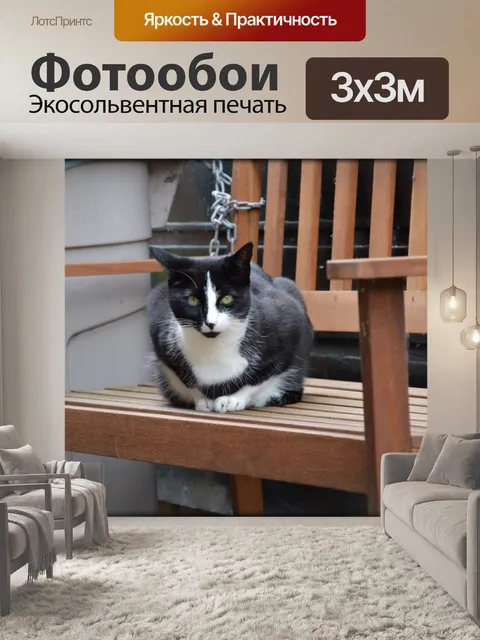 Фотообои Кошки 2