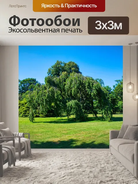 Фотообои Посадочного поля