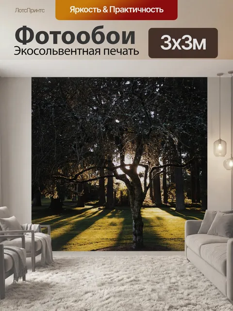 Фотообои Деревья