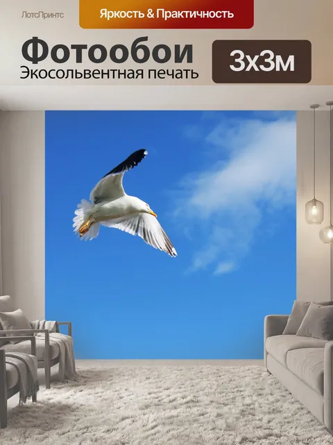 Фотообои Птица