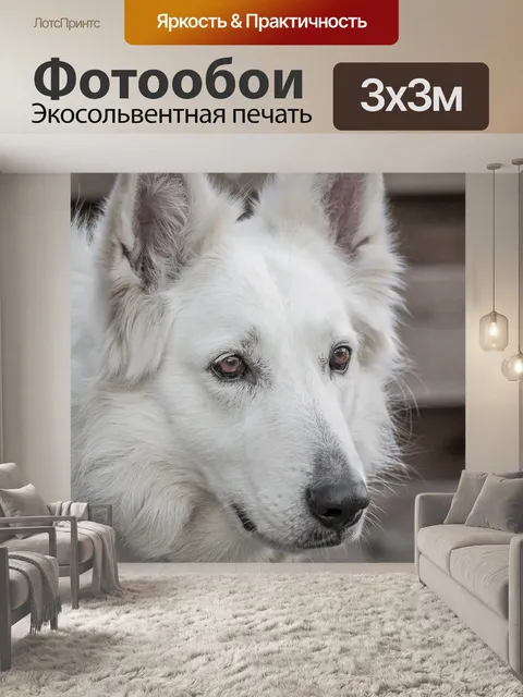 Фотообои Собака