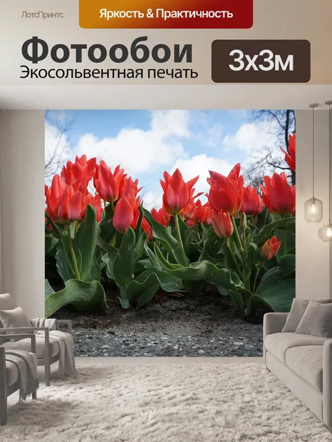 Фотообои Тюльпаны
