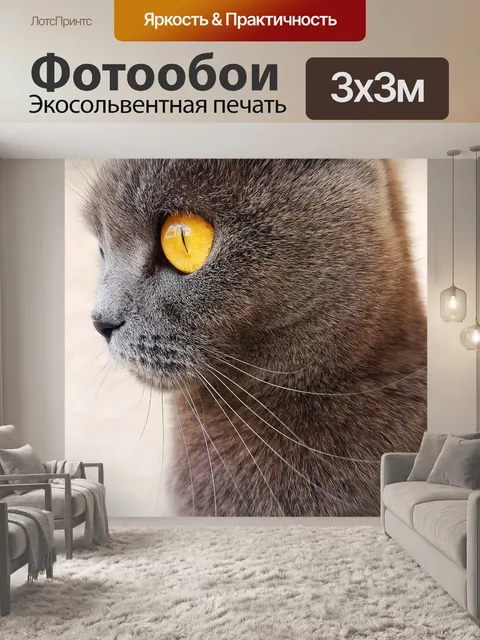 Фотообои Кошка