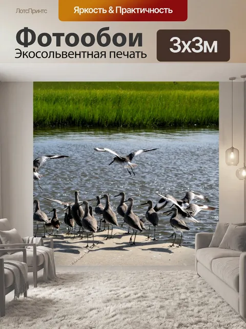 Фотообои Кулики в дикой природе
