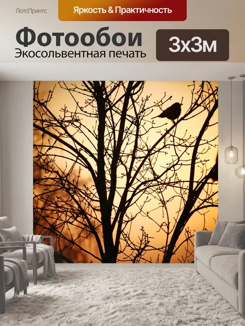 Фотообои Утро
